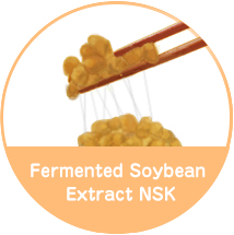 Fermented Soybean Extract NSK