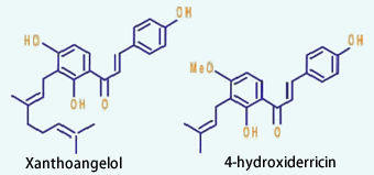 Xanthoangelol 4-hydroxiderricin