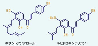 4‐ヒドロキシデリシンとキサントアンゲロール